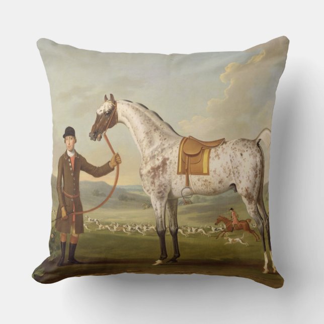 Scipio, Colonel Roche's Spotted Hunter, c.1750 (oi Cushion (Front)