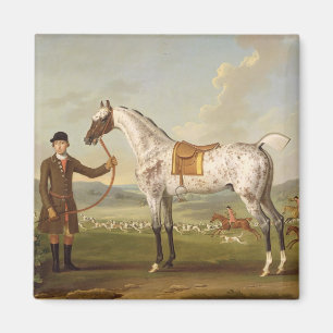 Scipio, Colonel Roche's Spotted Hunter, c.1750 (oi Magnet