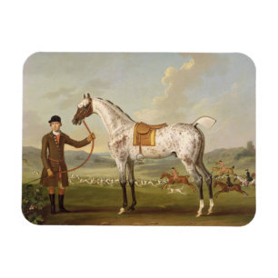 Scipio, Colonel Roche's Spotted Hunter, c.1750 (oi Magnet
