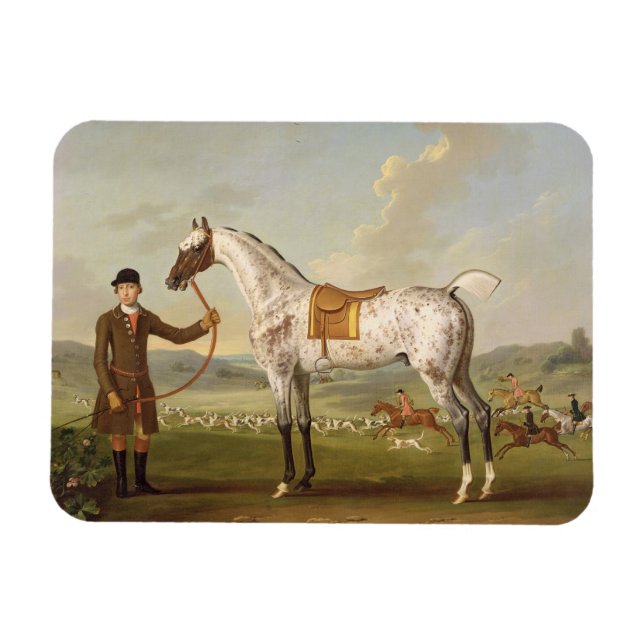 Scipio, Colonel Roche's Spotted Hunter, c.1750 (oi Magnet (Horizontal)
