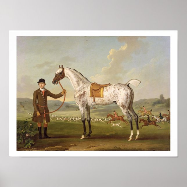Scipio, Colonel Roche's Spotted Hunter, c.1750 (oi Poster (Front)