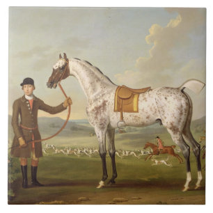 Scipio, Colonel Roche's Spotted Hunter, c.1750 (oi Tile