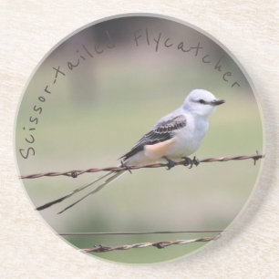 Scissor-tailed Flycatcher Coaster