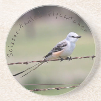 Scissor-tailed Flycatcher Coaster