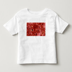 Sclerenchyma Cells from a Cherry Pit Toddler T-Shirt