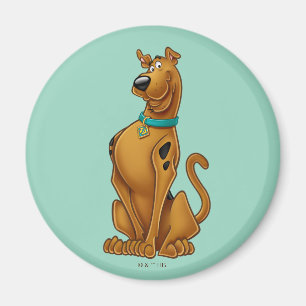 Scooby-Doo Airbrush Pose Magnet