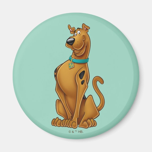 Scooby-Doo Airbrush Pose Magnet (Front)