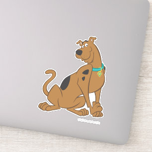 Scooby-Doo Bashful Pose
