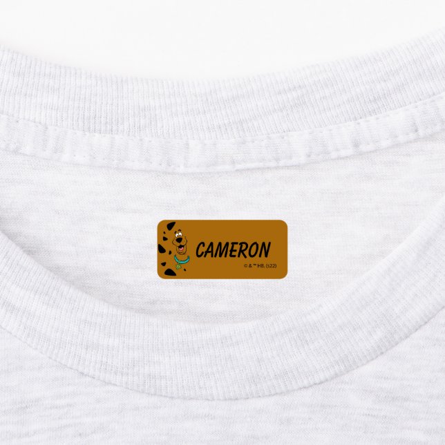 Scooby-Doo Camouflage Labels (Affixed)
