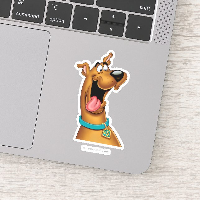 Scooby-Doo Excited Face (Detail)