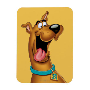 Scooby-Doo Excited Face Magnet