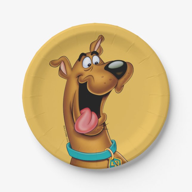 Scooby-Doo Excited Face Paper Plate (Front)