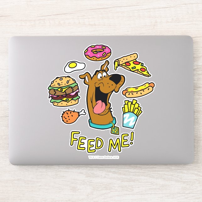 Scooby-Doo Feed Me! (Computer)