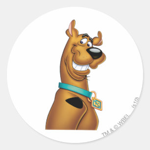Scooby-Doo Grin Classic Round Sticker