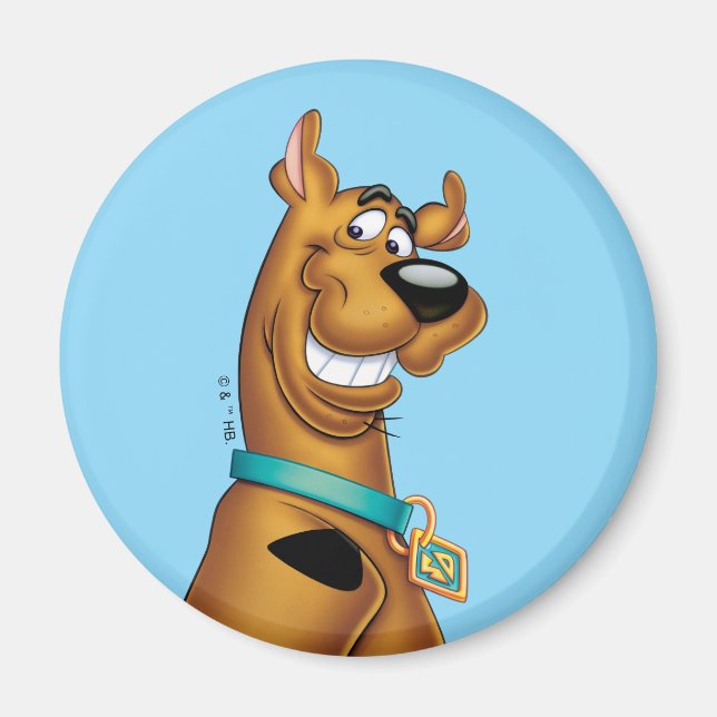 Scooby-Doo Grin Magnet (Front)