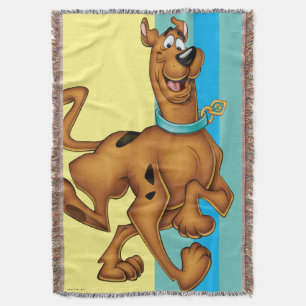 Scooby-Doo Happy Walk Throw Blanket