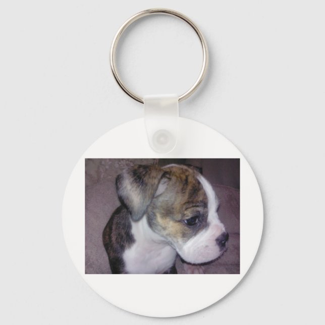 Scooby Doo Key Ring (Front)