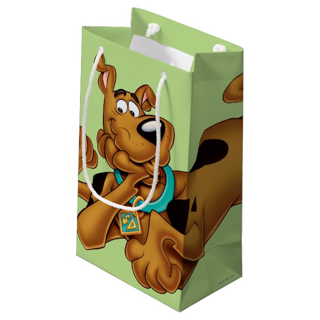 Scooby-Doo Lying Down Small Gift Bag (Back Angled)