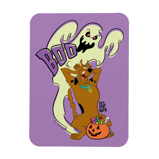 Scooby-Doo | Scooby-Doo Boo Magnet (Vertical)