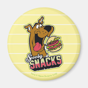 Scooby-Doo "Scooby Snacks" Logo Magnet