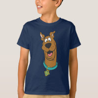 Scooby-Doo Smiling Face