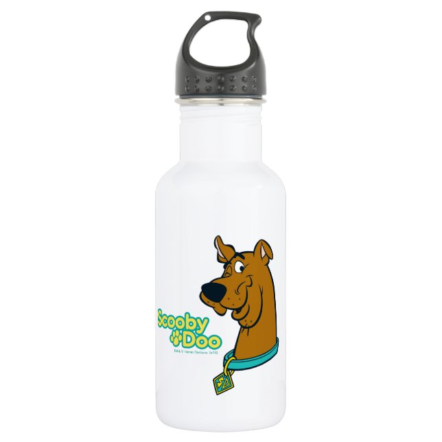 Scooby-Doo Winking 532 Ml Water Bottle (Front)