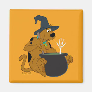 Scooby-Doo Witch's Cauldron Magnet