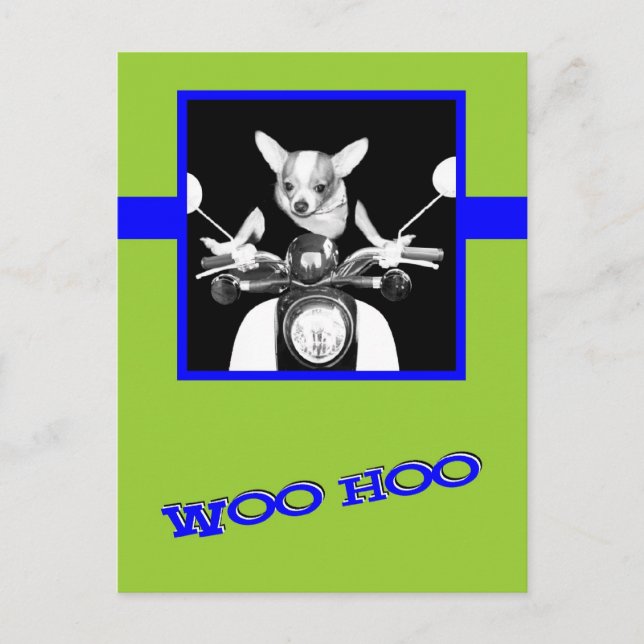 Scooter Chihuahua Postcard (Front)