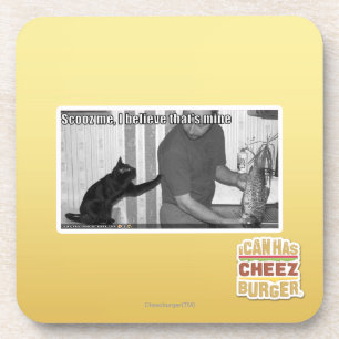 Scooz me, I believe that's mine Coaster