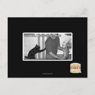 Scooz me, I believe that's mine Postcard