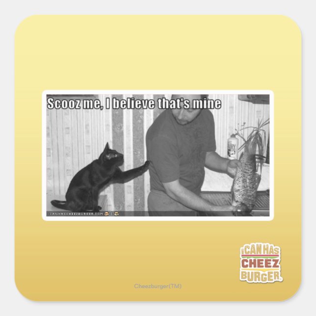 Scooz me, I believe that's mine Square Sticker (Front)