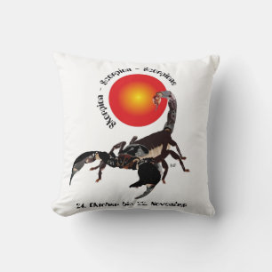 Scorpio - asterisk cushion