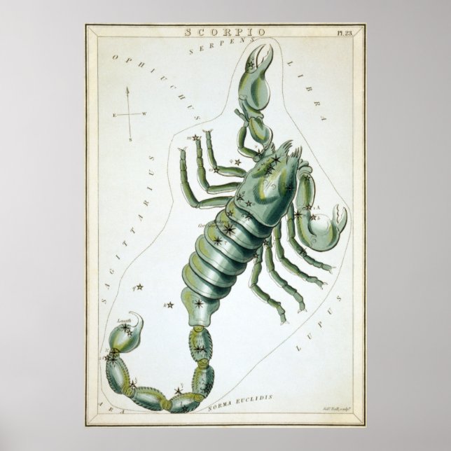 Scorpio Astrological Drawing Poster (Front)