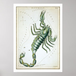 Scorpio Astrology Zodiac Poster