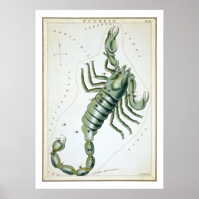 Scorpio Astrology Zodiac Poster (Front)