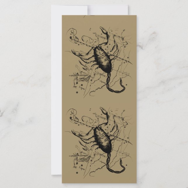 Scorpio Constellation Hevelius 1690 Decor (Front)