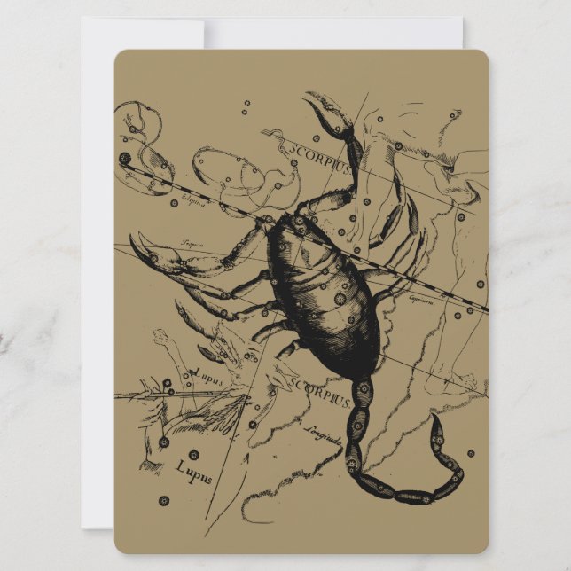 Scorpio Constellation Hevelius 1690 Decor (Front)