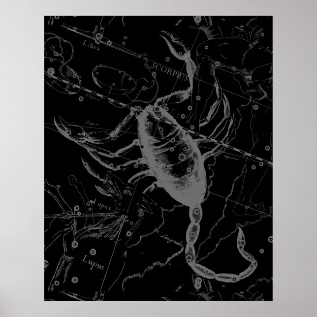 Scorpio Constellation Hevelius 1690 on Black Poster (Front)