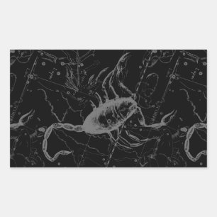 Scorpio Constellation Hevelius 1690 Vintage Black Rectangular Sticker