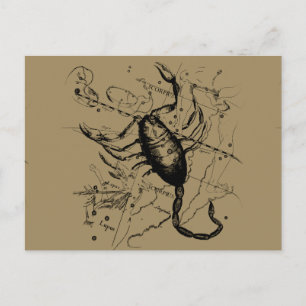Scorpio Constellation Hevelius circa 1690 Vintage Postcard