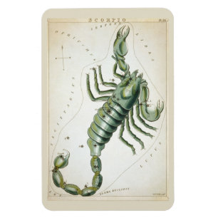 Scorpio Constellation Magnet