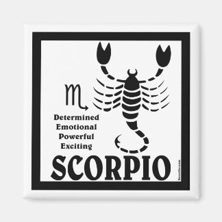 Scorpio Magnet