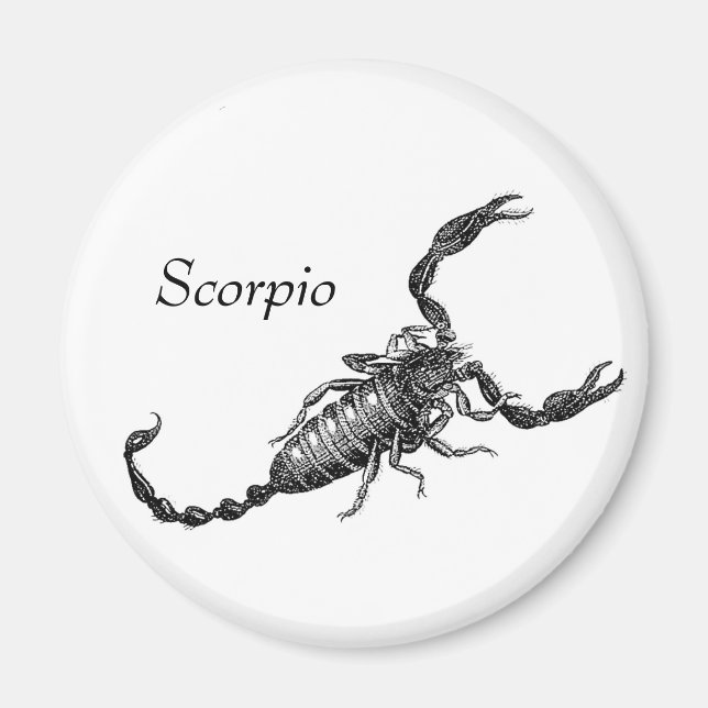 Scorpio Magnet (Front)