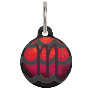 Scorpio Pet ID Tag