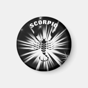 Scorpio sign magnet