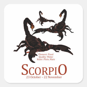 Scorpio Square Sticker