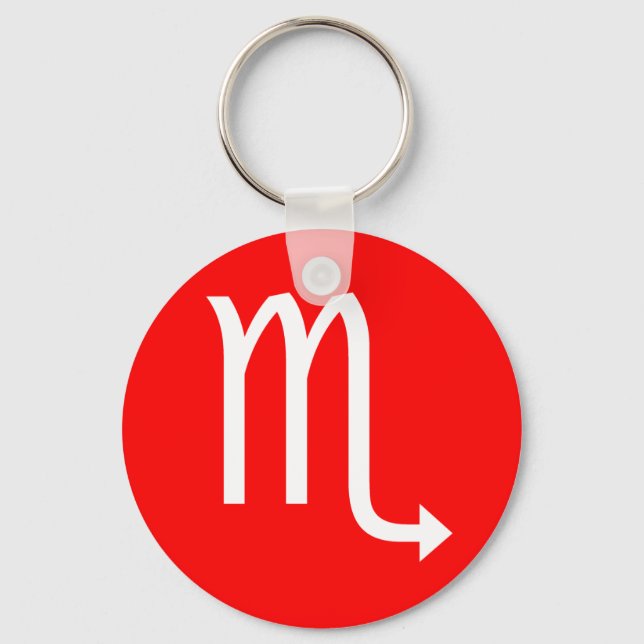 Scorpio Symbol Key Ring (Front)