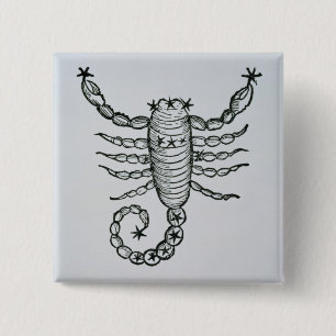 Scorpio (the Scorpion) an illustration from the 'P 15 Cm Square Badge