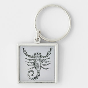 Scorpio (the Scorpion) an illustration from the 'P Key Ring