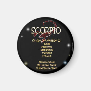 Scorpio zodiac magnet